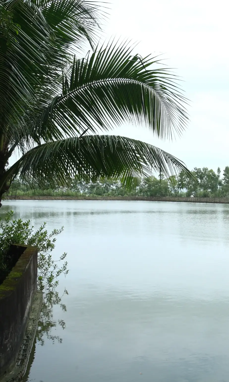 PHP Fisheries (2) (1) PHP Fisheries (2) (1)