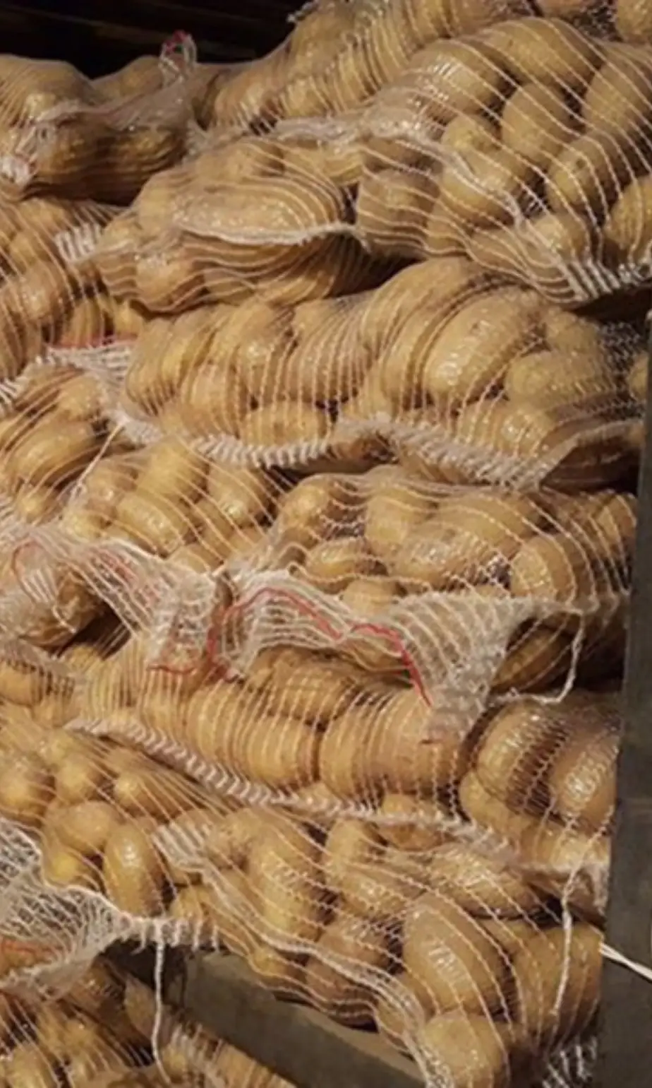cold storage cold storage